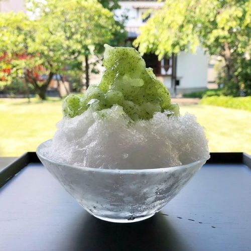 ★ Aug. 3, 2019 Toraya’s Ichijo shop, Kyoto: ao-yuzu-gori (lit. blue/green-‘yuzu*’-ice) ——– Shaved ic