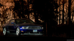 ford-mustang-generation:  My Slammed 5.0