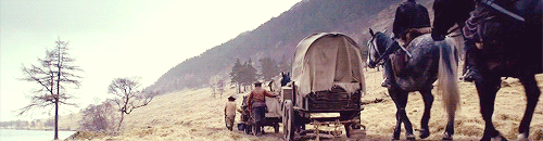 rurikids:   Outlander: 1x05 “Rent”  I must say, you got a good head on your