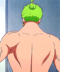Zoro Roronoa Zorojuro ロロノア ゾロ One Pie Tumbex