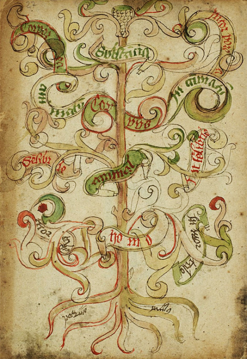 The tree of human nature.Manuscript description and digital images can be found here at OPenn, and y