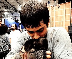 thisuserdoesntexistanymore20 - Dylan O'Brien + puppies