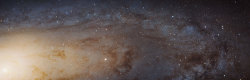 ohstarstuff:Sharpest View of the Andromeda Galaxy, Ever. The NASA/ESA Hubble Space Telescope has captured the sharpest and biggest image ever taken of the Andromeda galaxy — a whopping 69,536 x 22,230 pixels. The enormous image is the biggest Hubble image