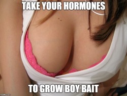 sissiesfordaddies:  Take enough hormones to grow a nice rack and fine ass, but keep your cock.