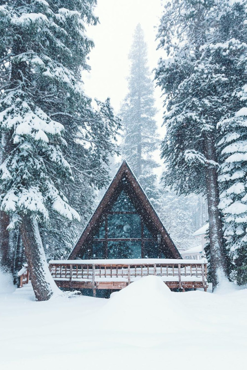 banshy:Donner Lake, California // Jordan Herschel