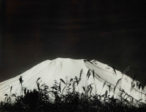 gacougnol:Okada KoyoCone of Mount Fuji among the Reeds1927-1930