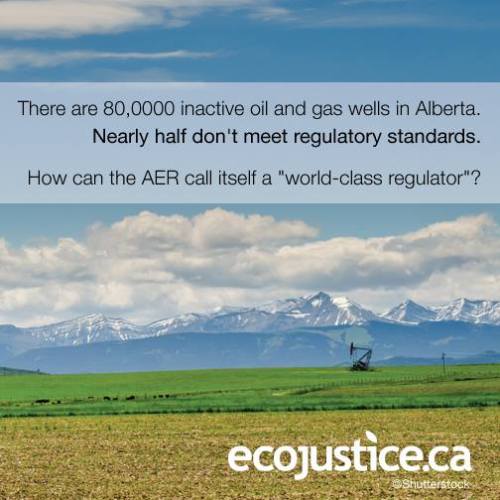 biodiverseed:saveplanetearth:Alberta’s ever-growing inactive well problem @ EcojusticeIt&rsquo