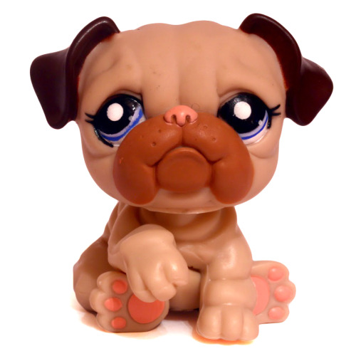 Brown Dog Lps ^__^ 