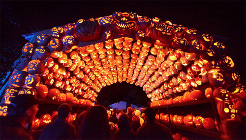 itscolossal:Pumpkin Arrangements at the Great Jack O’Lantern Blaze