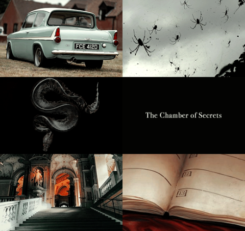 ibuzoo:1000 Picspams Challenge | #204 - Harry Potter Aesthetics