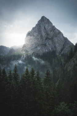 vhord:  69271-e:  obsol:  umq:  Germany by (flosen AЯT)   nature  vertical nature  strictly nature