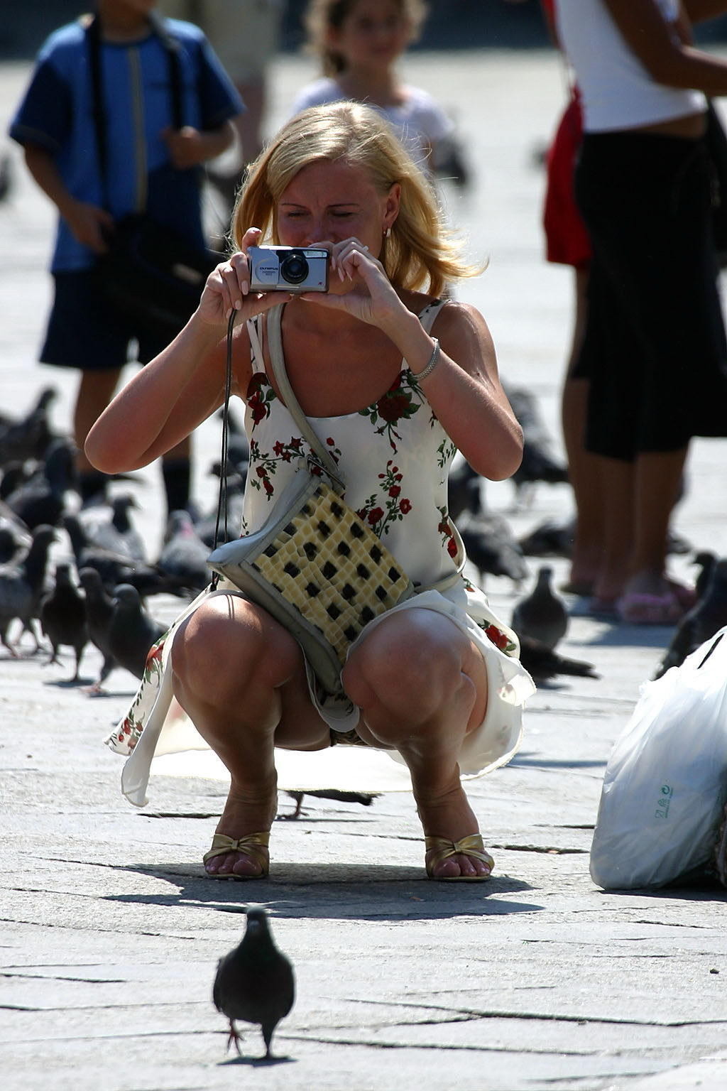 everwatchful:  I reckon that’s a trained pigeon…