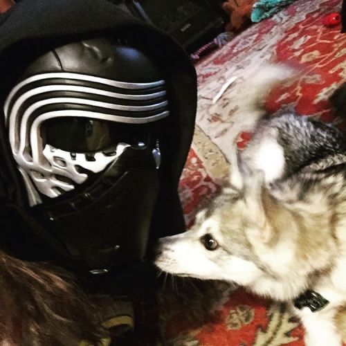 I can take anything I want - and I want you kisses #starwars #kyloren #kleekai #iggypup