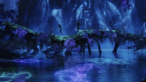 ʚ Kew, Avatar