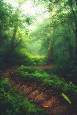 lsleofskye:Walking Into the fairy tale