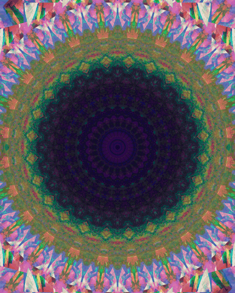 p-i-r-a-d-o:  VIBE 