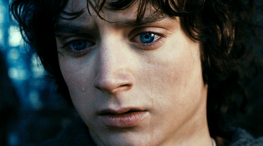 ellowen:      The Lord of the Rings: The Fellowship of the Ring   (2001) dir. Peter