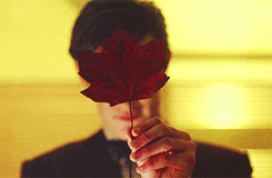 borntosavethedoctor:Eleven + yellow