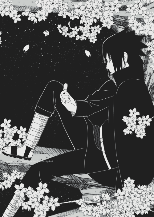 mr-k-a-m-i-g-a-k-a-r-i:Sasuke and the cherry blossom 