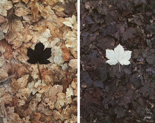 wetheurban:  SPOTLIGHT: Nature Sculptures by Andy Goldsworthy Andy Goldsworthy is a brilliant British artist who collaborates with nature to make his creations. Read More 