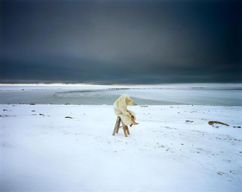 artchipel:  Scarlett Hooft Graafland (b.1973, Netherlands) The images Scarlett Hooft Graafland creates look impossible – but not unreal. Her method has parallels with that of a documentary maker. Coloured balls floating over a frozen pond with swans.