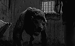 feelingsofaithless:  Life is a series of choices. As it turns out, death is the same. Not for the ones who are ready. They embrace their fate, move on. For the rest of us, we linger. After our survivors pray and throw dirt on our coffins, we’re still