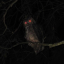amongmiceandcicadas
