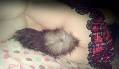 pandarenprincess:  My new tail came in! <3 Much, MUCH quicker than expected! I just HAD to try it as soon as I got it. Better pics soon to come! 