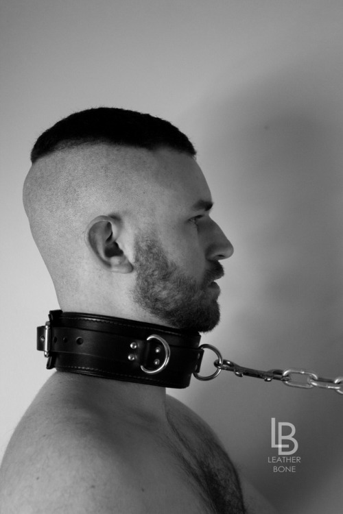 objectd: breederofbetas: Stand up straight and proud. This is YOUR collar and like that collar has t