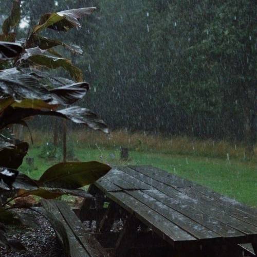 ur-daily-inspiration:sound and smell of the rain