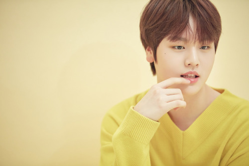 dohyon