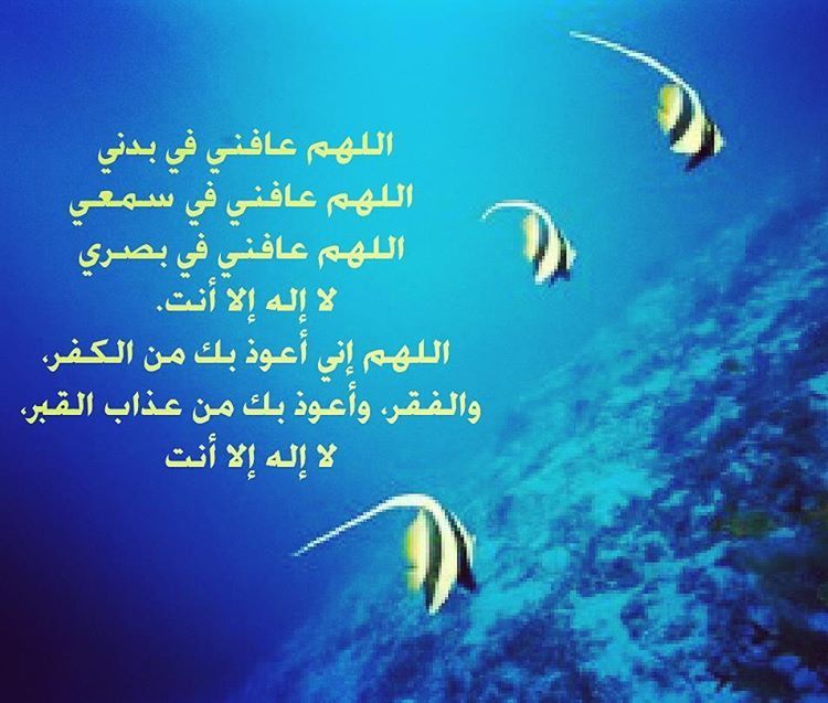 لا عافني بصري أنت في إلا عافني عافني في بدني إله سمعي في اللهم اللهم اللهم 💙 —