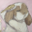 cookiewiththebows