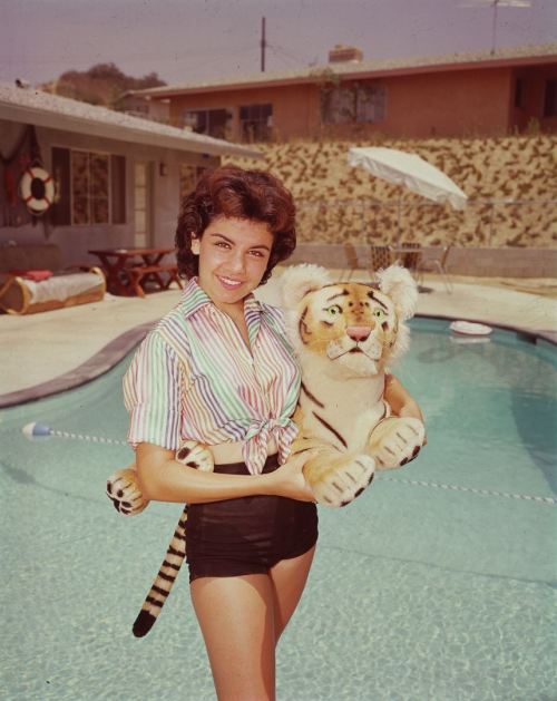 Annette Funicello adult photos