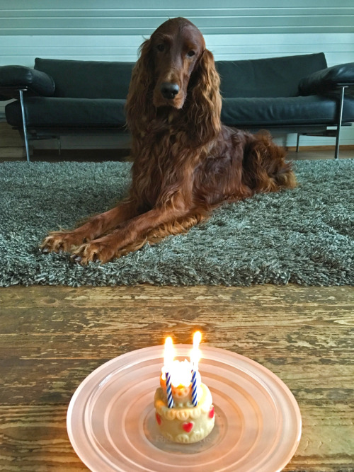 „Mist, Leckerli brennt!“
(zum 4. Geburtstag)