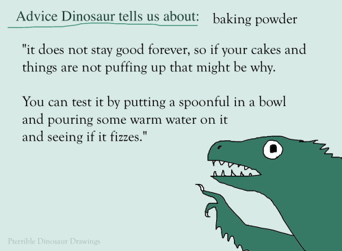shittydinosaurdrawings:one time I tried to bake a cake at my uncle’s house and it turned out flat an