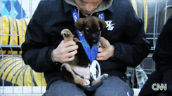sowerefeelinglikegold:  vaultnumber713:  somewhereinbrooklyn-:  Olympic silver medalist
