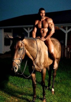 Dam ok which horse do i want to ride i say both