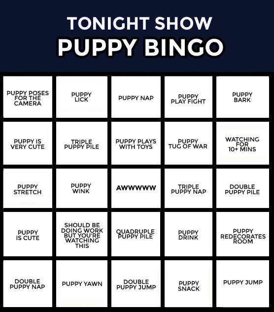 fallontonight:  Our #FallonPuppies livestream is live on YouTube!And it’s time