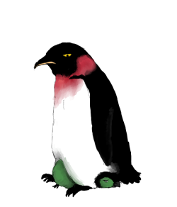 piscosos:  The quest of penguin Zoro continues.