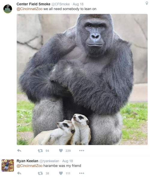 maxofs2d:imagine being Cincinnati Zoo’s social media manager
