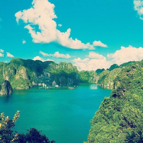 A small part of Halong Bay #Vietnam Tag #Legendtravelgroup#halongbaycruise #baitulongbay #cruiseha