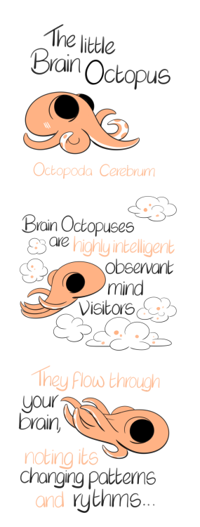 The little brain Octopus ~Patrons can adopt one and get a handlettered digital certificate for thems