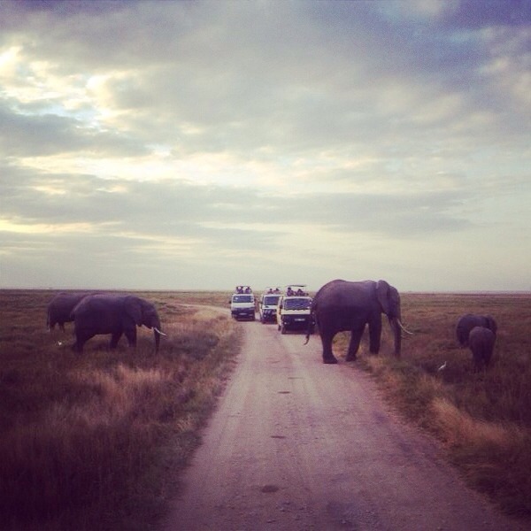 bowhurst:  ×  Let's go on an adventure...   × 