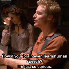 Damn Guido!