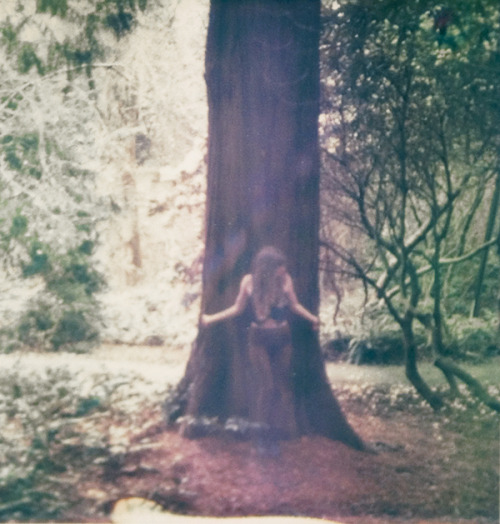definitelydope:  sundowning (by bee hives) 