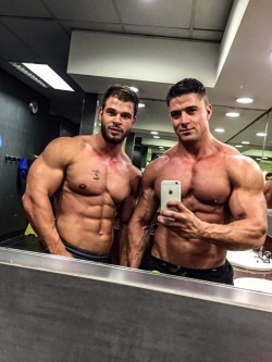 Adonis Files