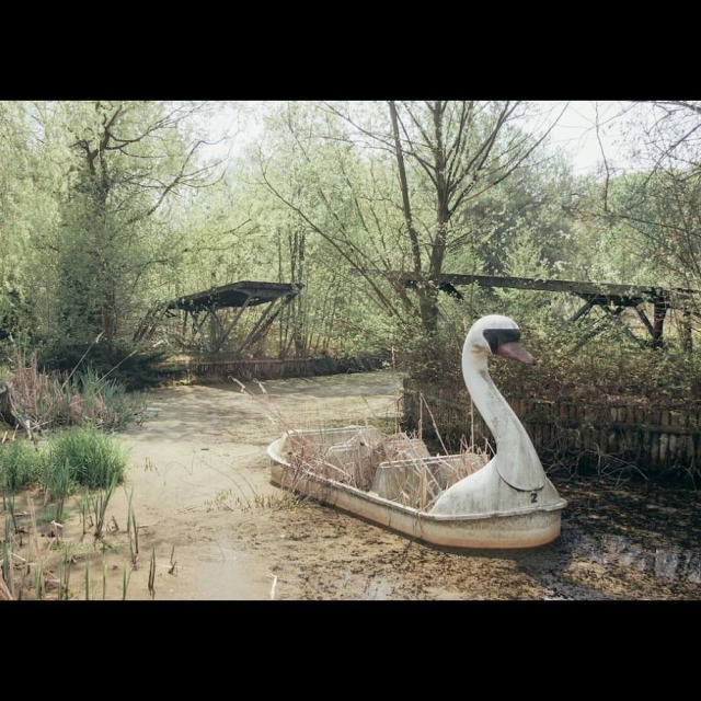 Porn photo • @jrskeedeeboomboom #amusementpark #abandoned