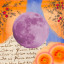rosemoon2000