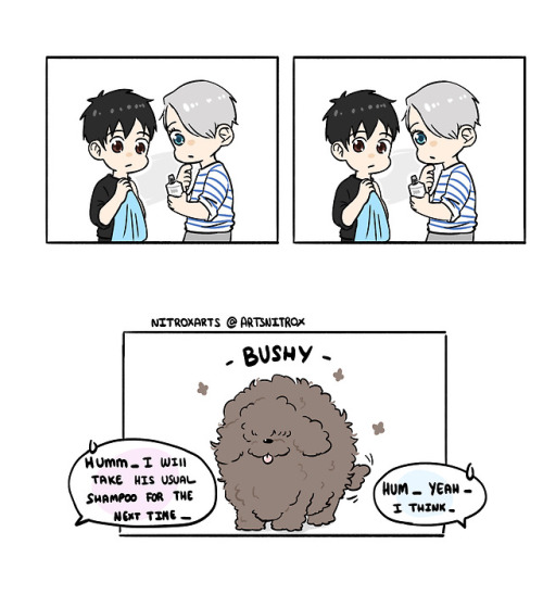 nitroxarts:✨ Look at this bushy Makkachin !!!! ✨